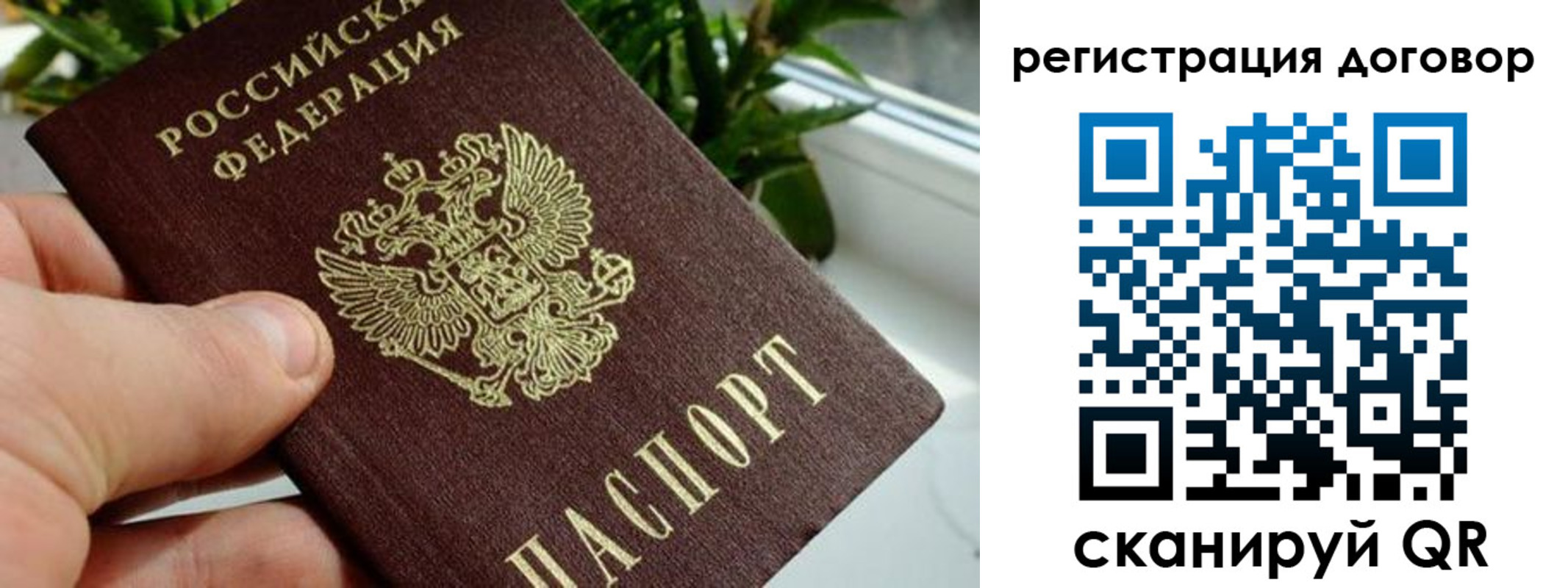 прописка ребенка в Тогучине